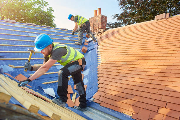 Best Skylight Installation and Repair  in Northbrook, OH